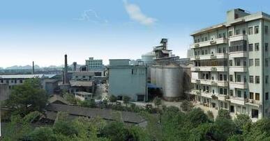 桂林力源集團(tuán)董事長陳身陸還是丁身援？桂林力源糧油食品集團(tuán)領(lǐng)導(dǎo)班子