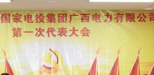 國家電投集團廣西電力公司毛國權簡歷，領導班子成員什么級別？