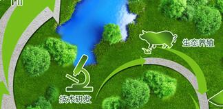 雛鷹集團(tuán)侯建芳簡(jiǎn)歷，侯閣亭、李花、侯五群、吳易得、丁美蘭等領(lǐng)導(dǎo)班子