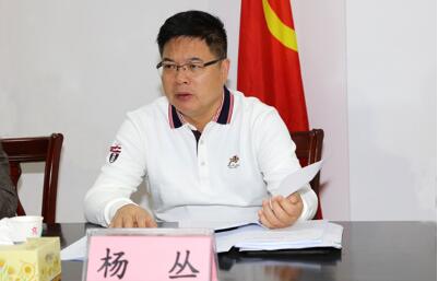 楊叢簡(jiǎn)歷：廣西政府發(fā)展中心主任楊叢，曾任欽州市委副書記