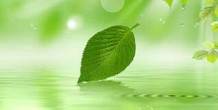 南寧八菱科技怎么樣？待遇怎樣，為什么被譴責(zé)？年產(chǎn)多少錢？