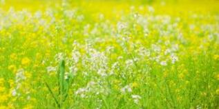 江西華電破產(chǎn)重整了嗎？胡達(dá)、董正文、徐明勇是華電集團(tuán)江西分公司領(lǐng)導(dǎo)嗎？