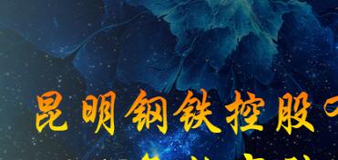 昆鋼集團(tuán)王素琳簡(jiǎn)歷，馬德、陳清泉、王存璘、蘇玲翠、王云萍、錢(qián)永祥、孫小躍、官德海、高冰、杜陸軍、趙永平領(lǐng)導(dǎo)班子