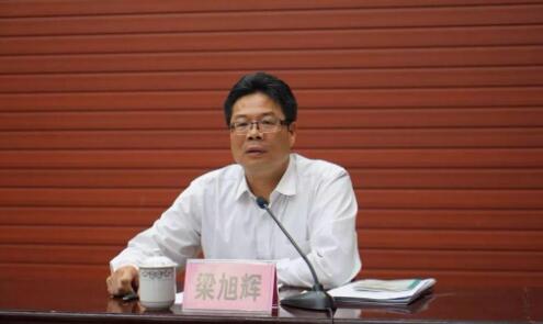 梁旭輝簡歷：廣西自治區(qū)黨委第四巡視組組長梁旭輝，曾任柳州市委副書記，崇左市委常委、常務(wù)副市長、紀(jì)委書記