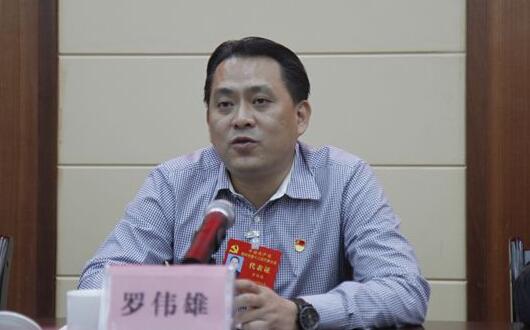 羅偉雄簡歷：梧州市委常委、政法委書記羅偉雄，曾任岑溪市委書記