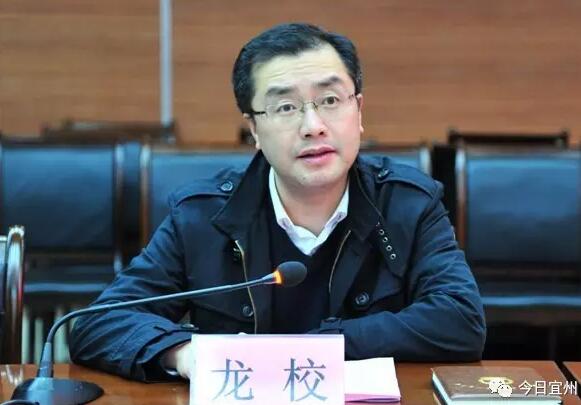 龍校簡歷：欽州市副市長、公安局局長龍校，曾任玉林市副市長、公安局局長，羅棋權任廣西政法委副書記（羅棋權簡歷）