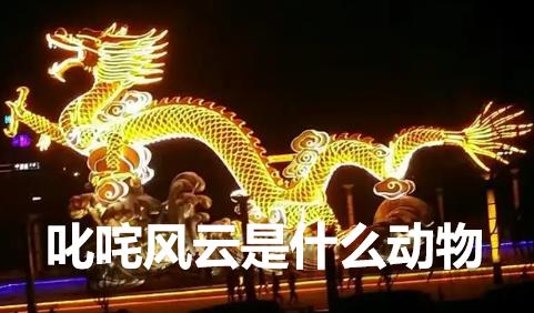叱咤風(fēng)云是什么動(dòng)物？叱咤風(fēng)云的意思是什么動(dòng)物的生肖？
