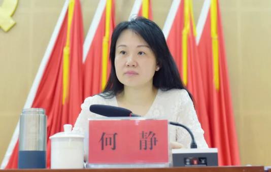何靜簡(jiǎn)歷：桂林市投資促進(jìn)局局長(zhǎng)何靜，曾任秀峰區(qū)委常委、常務(wù)副區(qū)長(zhǎng)，秀峰區(qū)委常委、政法委書(shū)記